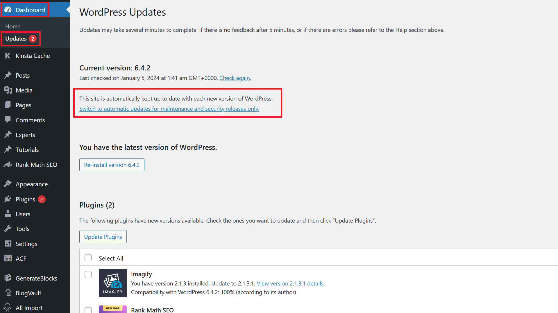 WordPress Automatic Updates
